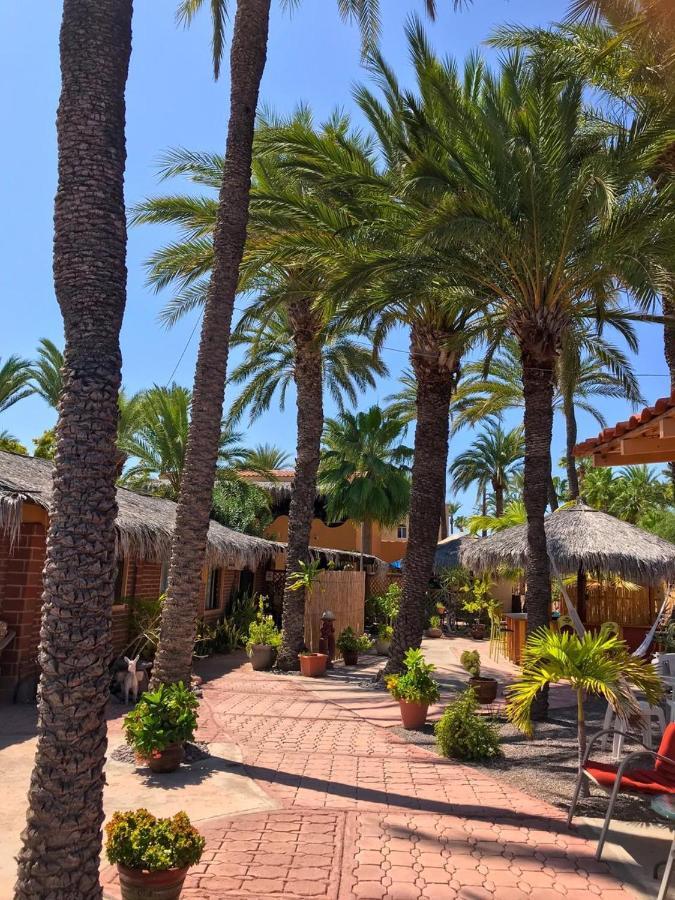 Sukasa Bungalows Loreto  Dış mekan fotoğraf
